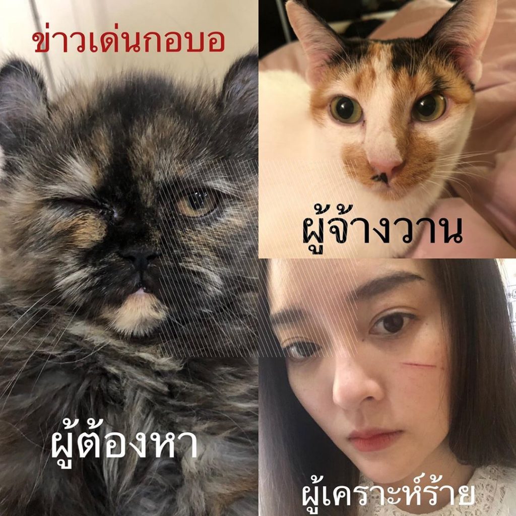 "แก้มบุ๋ม" โชว์แผลสด หลังโดนแม่ข่วน เลือดอาบแก้ม - Bright ...