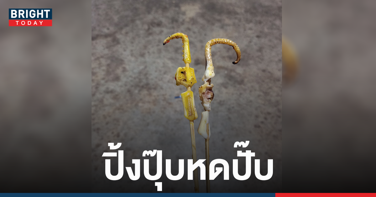 Tears slipped!  A girl buys a grilled squid, 5 baht per stick, is grilled immediately, shrinking the little finger.