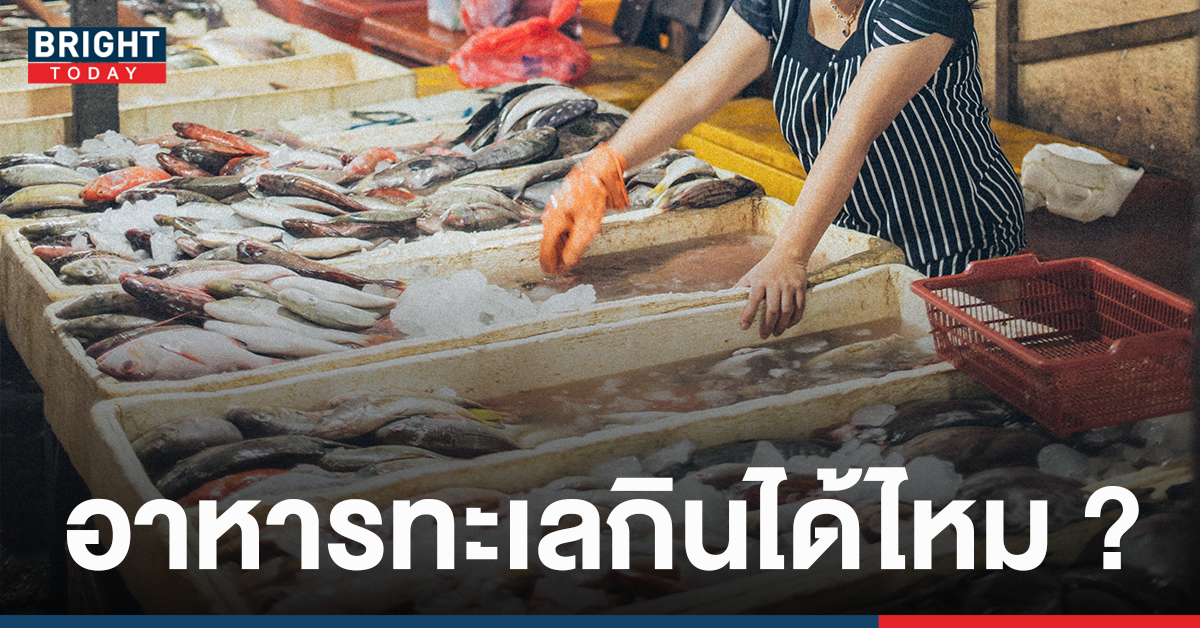 Solve the answer!  Can ‘seafood’ from Samut Sakhon be eaten when COVID lurks the shrimp market?