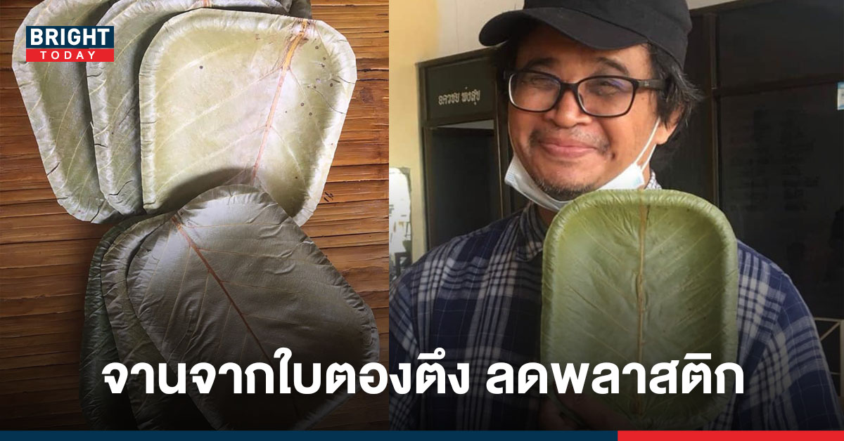 สุดยอดไอเดีย! จานใบตองตึง ลดเชื้อเพลิงในป่า ลดการใช้พลาสติก