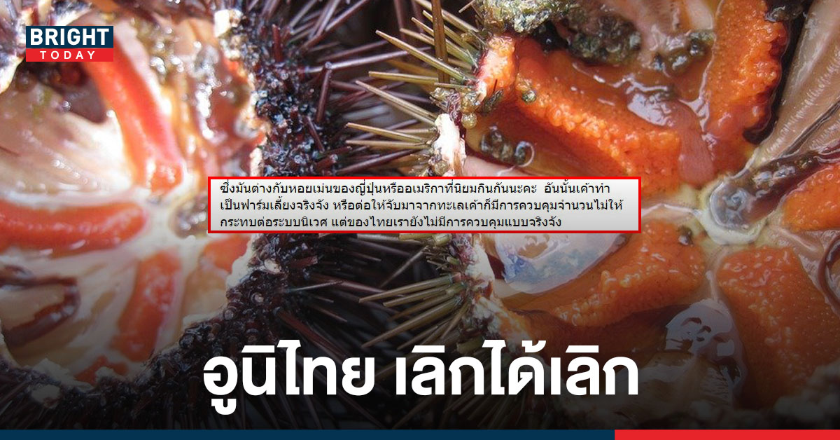 อย่าหาทำ! อูนิไทย ไปจับมาเป็น ๆ ทำร้ายระบบนิเวศ เลิกได้เลิก!