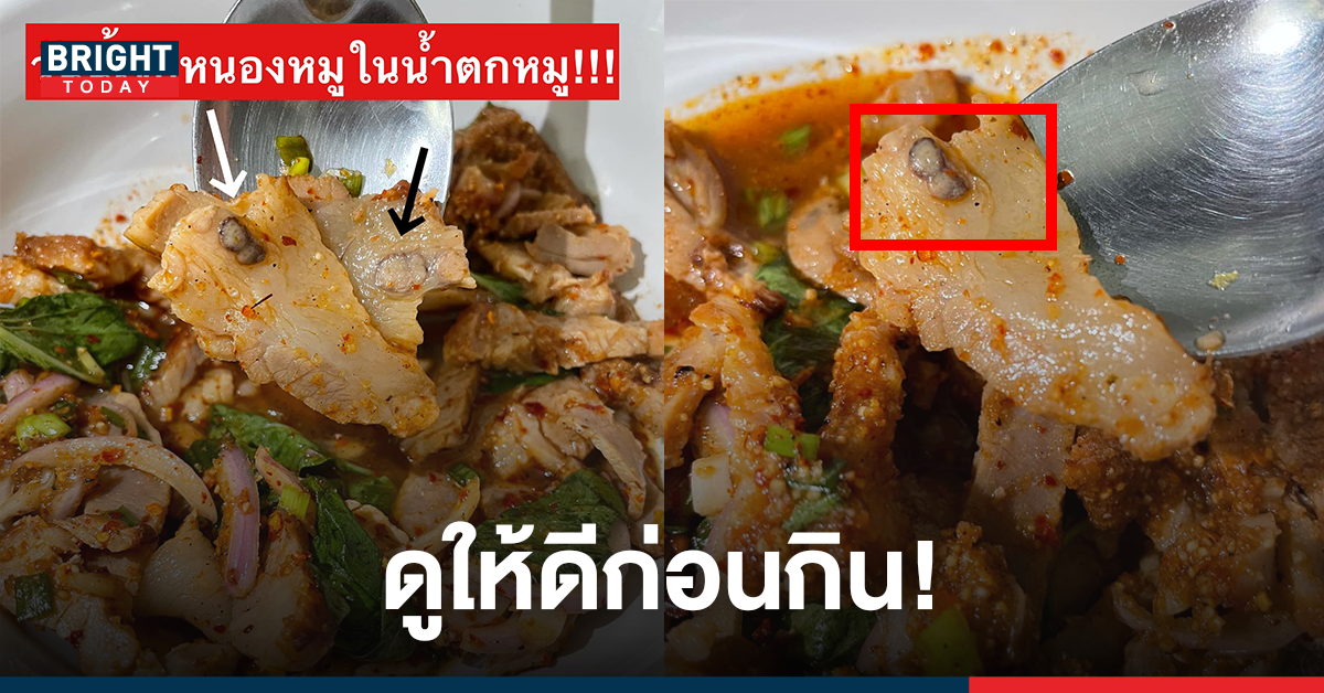 เช็กก่อนกิน! เพจดังแชร์ หนองหมูในหมูน้ำตก ติดเนื้อแน่น สยองจนไม่กล้ากินต่อ