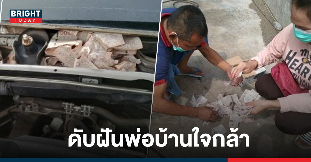 หนุ่มซ่อนเงิน 45,000 ไว้ในรถหวังแอบเมียไว้เปย์น้องหนู แต่ดันเสร็จ “พวกหนู” ไปซะก่อน