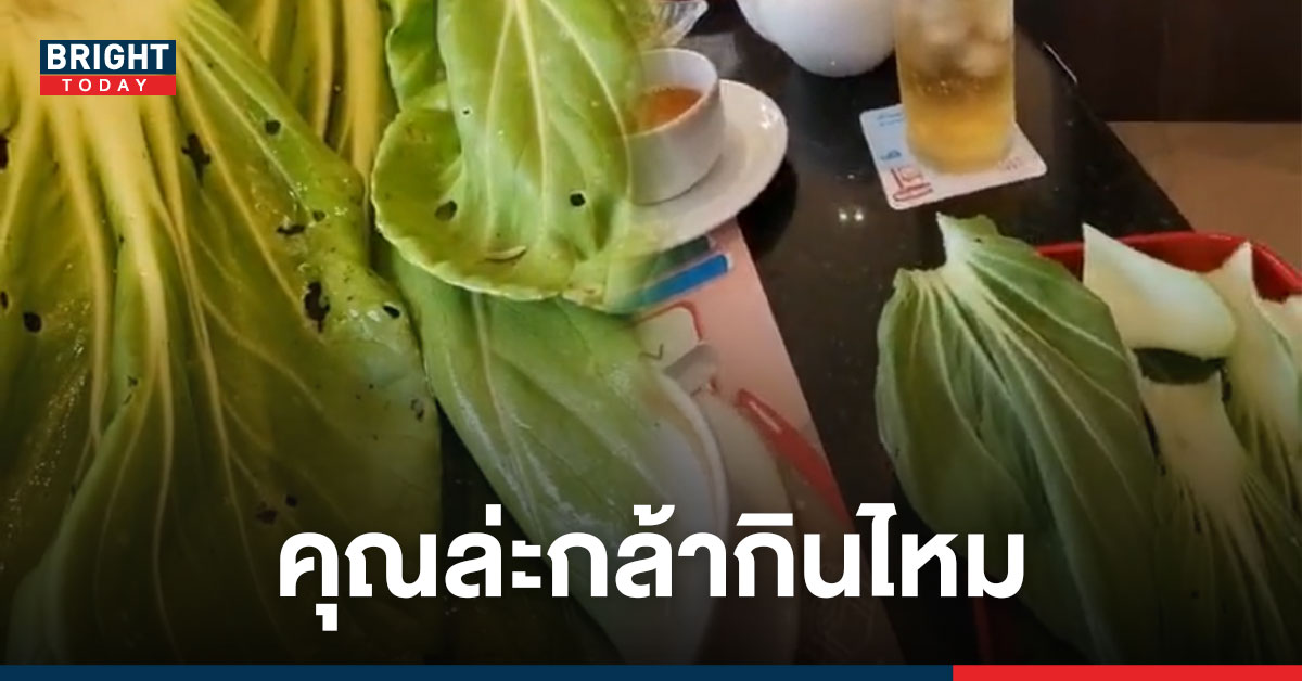 ลูกค้าโวย! เจอหนอนในผัก เมื่อไปกินสุกี้ร้านดัง ชาวเน็ตเสียงแตกปกติกินได้?