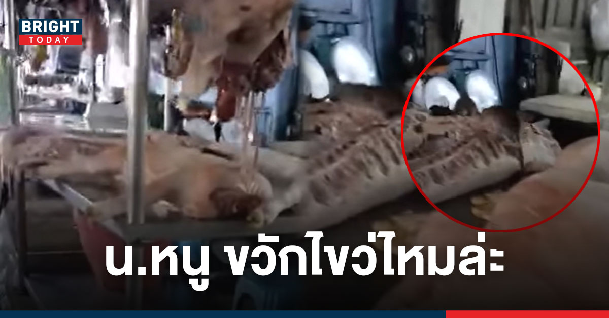 อ้วกแทบพุ่ง! นักจ่ายตลาด ไม่ดูบอกเลยพลาด! เมื่อ เขียงหมู ไม่ได้มีแค่หมู!