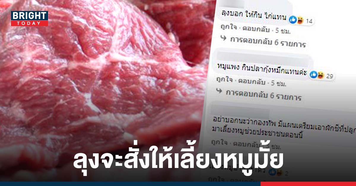 ภาครัฐเร่งแก้ปัญหา ราคาหมูแพง เป็นประวัติการณ์ ชาวเน็ตแซะเดี๋ยวนายกก็สั่งเลี้ยงหมู