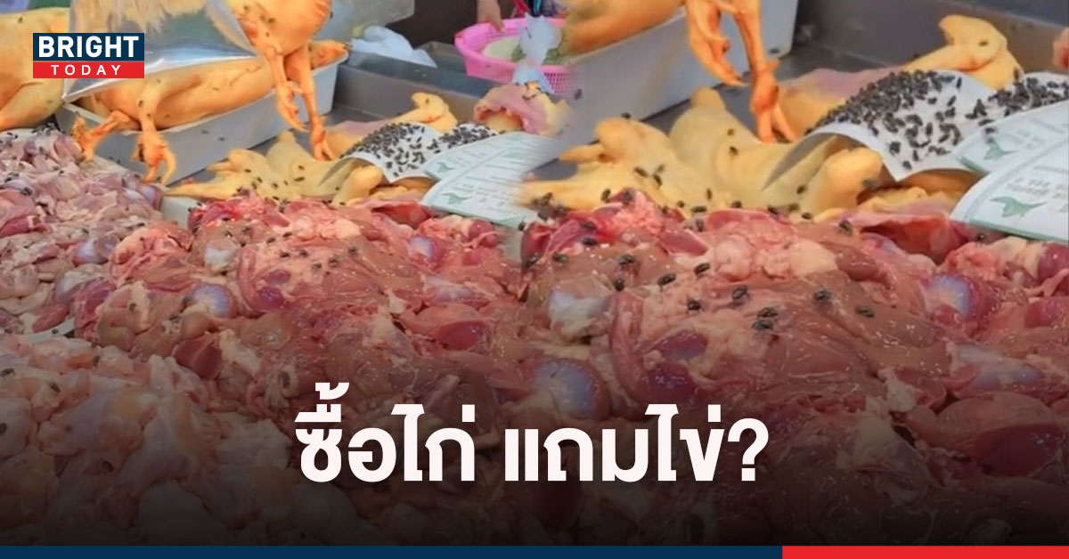 เนื้อหมูแพง! ว่าจะ เปลี่ยนมากินไก่ แต่เจอแบบนี้ยังกล้ากินลงไหม มันเยอะไปป่าว?