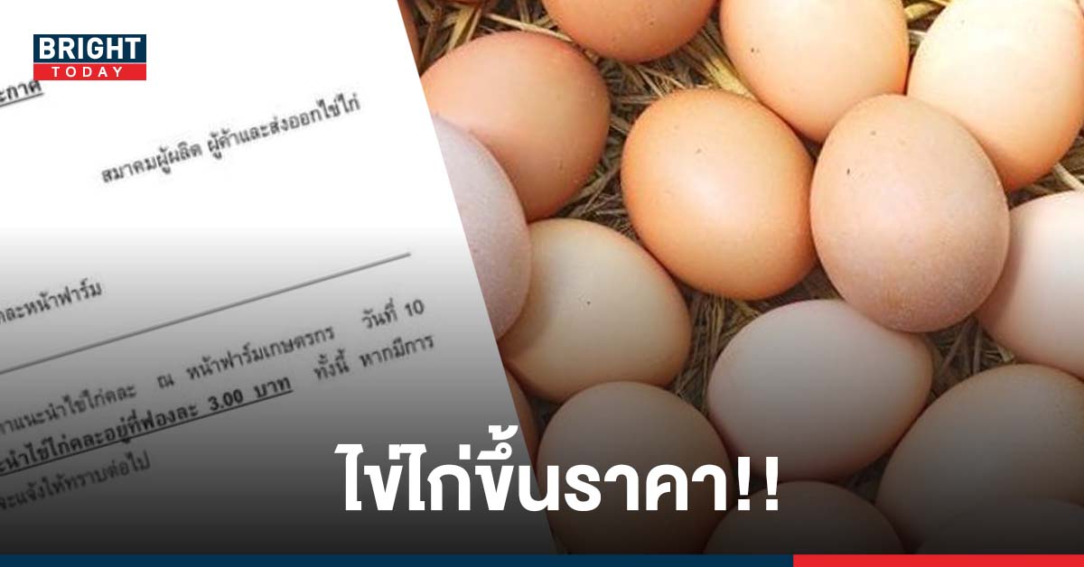 พรุ่งนี้ ไข่ไก่ขึ้นราคา สมาคมผู้ผลิตผู้ค้าไข่ไก่ แจงปรับราคา คาดเป็นที่ต้องการหลังราคาหมูแพง