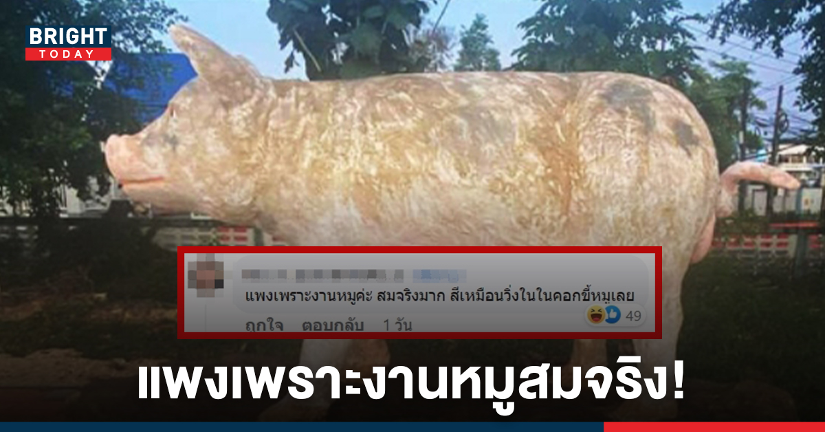 นายอำเภอแจง ดราม่ารูปปั้น 12 นักษัตร อ.ตะกั่วป่า หมูตัวเดียวแสนสอง เพราะเหล็กแพง