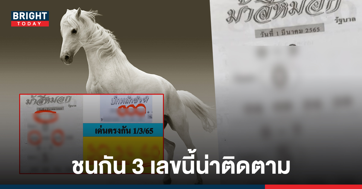 ตามต่อความปัง! เลขเด็ด หวยม้าสีหมอก งวดนี้ 1 มี.ค. 65 วิ่งบนล่าง 0 – 5