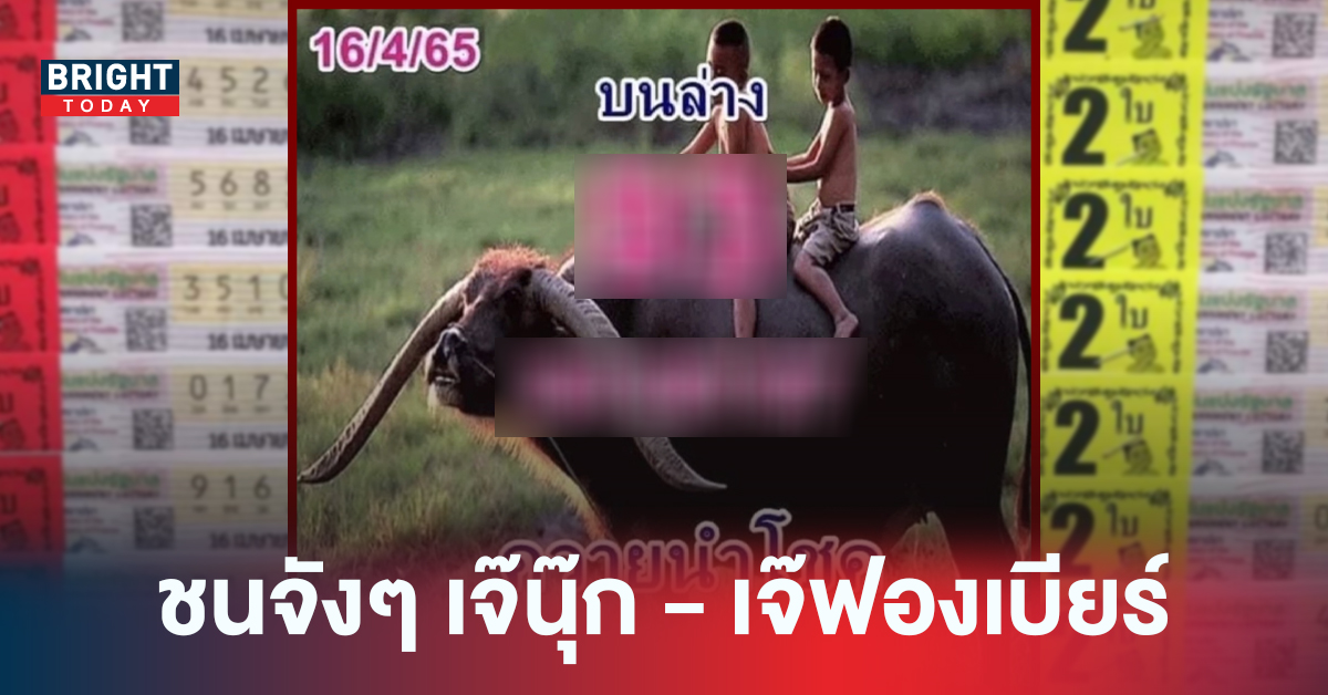 เลขนี้มาแรง! หวยควายนำโชค งวดนี้ 16/04/65 ชนตรงๆเลขเด็ด เจ๊นุ๊ก – เจ๊ฟองเบียร์