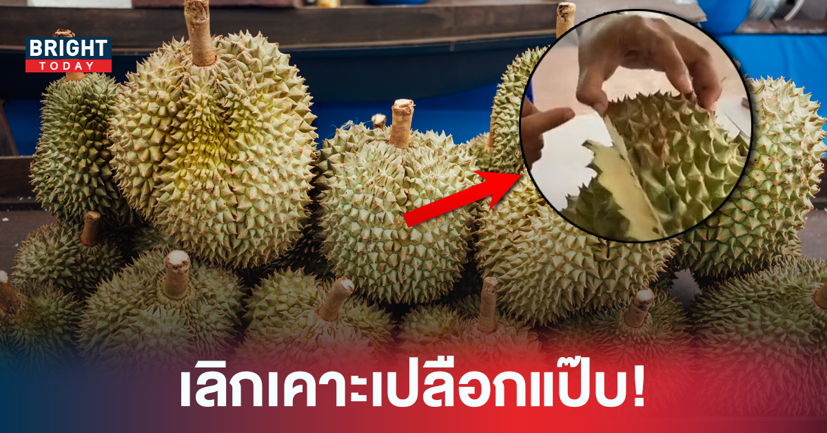 น้อยคนจะรู้! เผยเทคนิคการเลือกทุเรียน ที่ไม่ใช่การเคาะเปลือก พลาดแล้วจะเสียใจ!