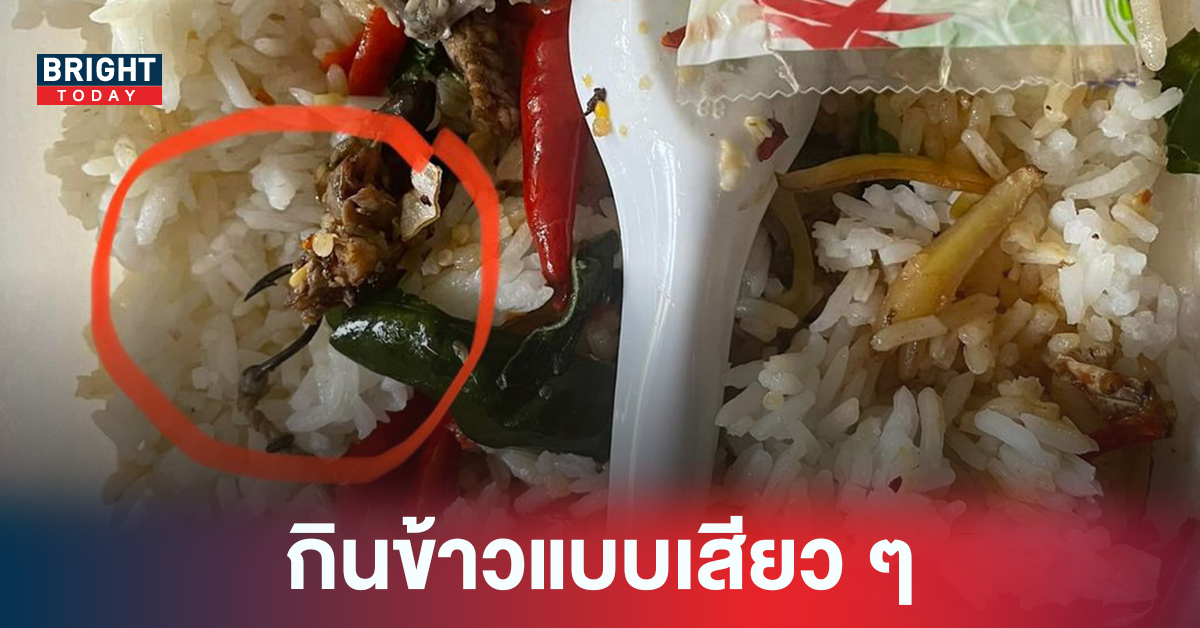 เสียวปากไปหมด! ตะขอเบ็ดโผล่ข้าวกะเพรา เจอแบบนี้..ปากเยินแน่นอน