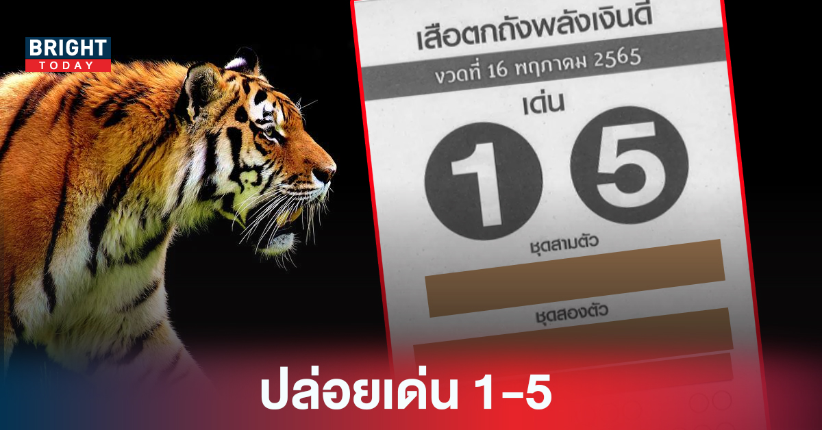 คัดมาแล้ว! ปล่อยเด่น 1-5 เลขเด็ดงวดนี้ เสือตกถังพลังเงินดี งวด16/5/65 รีบดูก่อนหวยออก