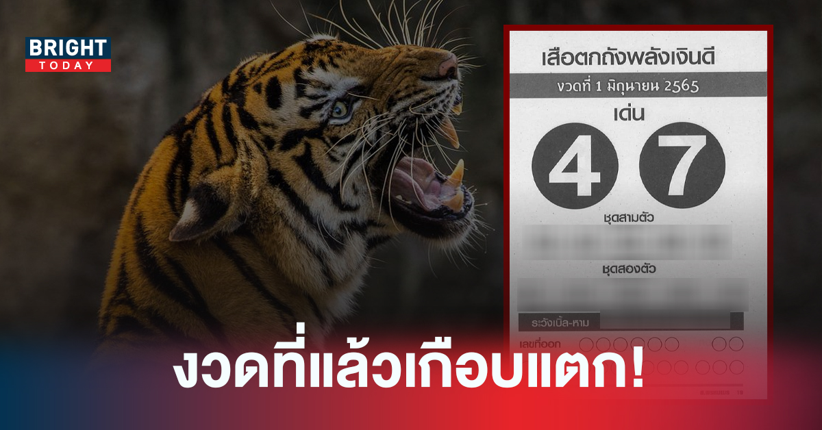 เกือบแตกแล้ว! เลขเด็ดงวดนี้ เสือตกถังพลังเงินดี 01/06/65 แนะเลขเด่น 4 – 7