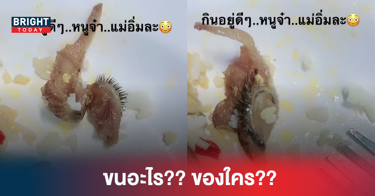 ขนอะไร? ของใคร? เจอแบบนี้ อิ่มไม่ทันตั้งตัว ดูดีๆคล้าย ขนตา แต่..ขนตาของใคร