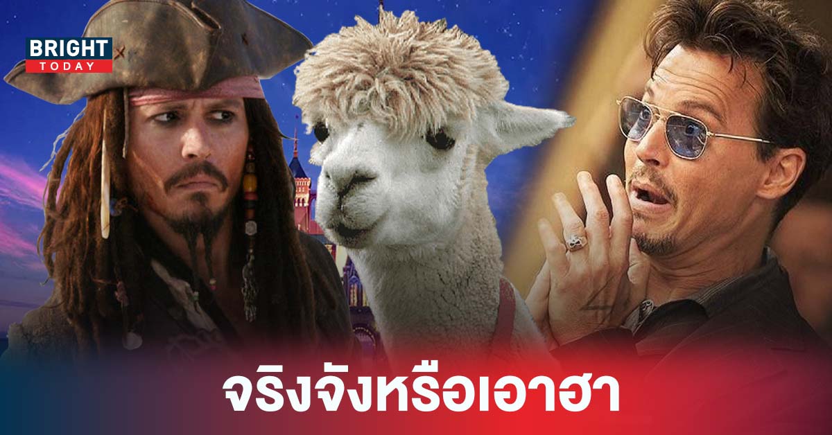 กวนตีx! Disney เสนอเงิน 301 ล้านให้ Johnny Depp หลังเจ้าตัวเคย ลั่น 300 ล้านก็ไม่กลับมา เป็นกัปตันแจ็ค