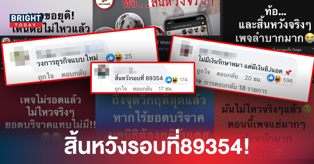 ชาวโซเชียลสงสัย!? เพจดัง สิ้นหวัง! ไม่มีเงินรักษา หมามะเร็ง แต่มีเงินยิงแอด ?