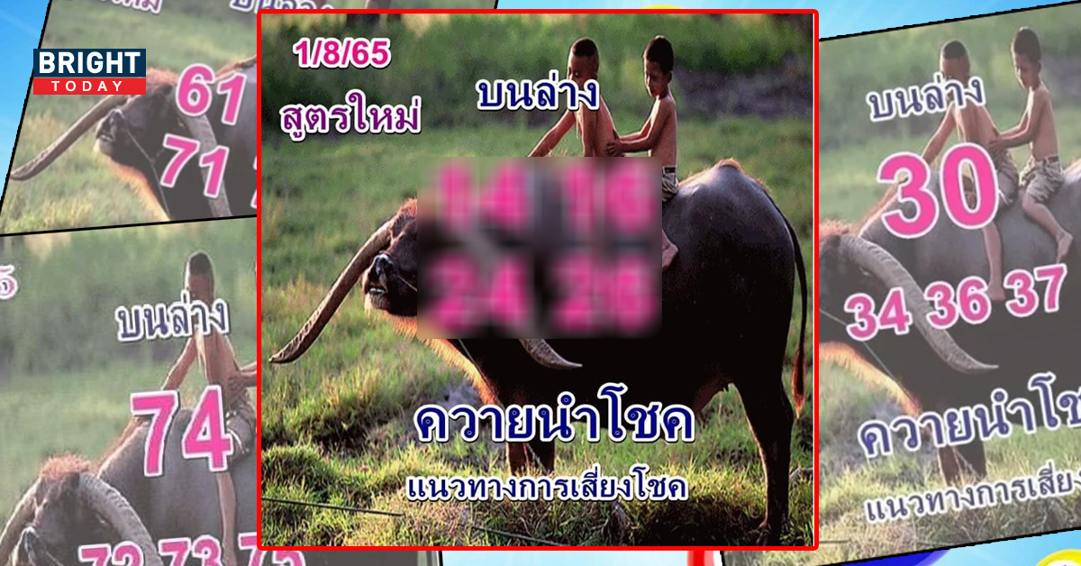 หวยควายนำโชค