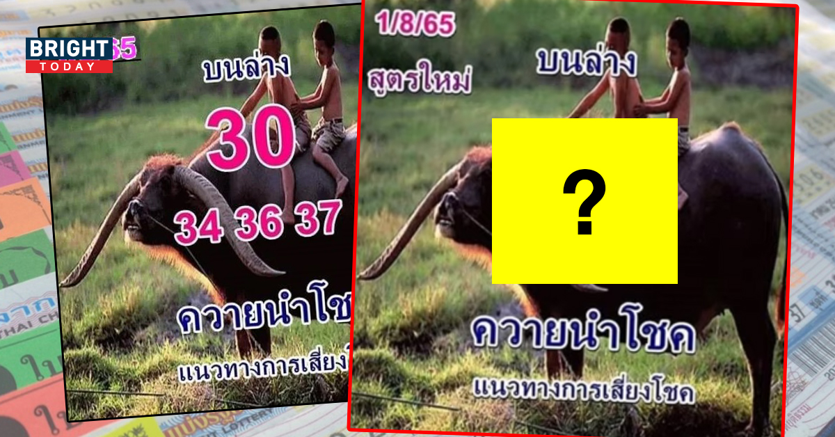 ควายนำโชค