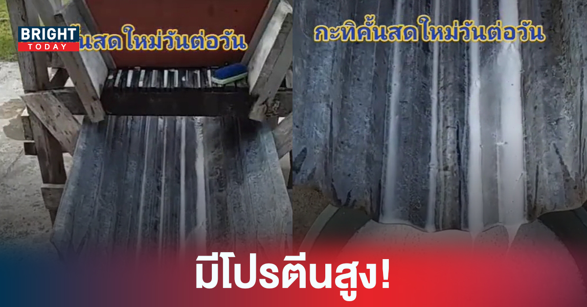 คลิปไวรัล การทำกะทิ ที่สดใหม่แบบธรรมชาติสุดๆ งานนี้ชาวเน็ตแซวแรง “กะทิพระบิดา”