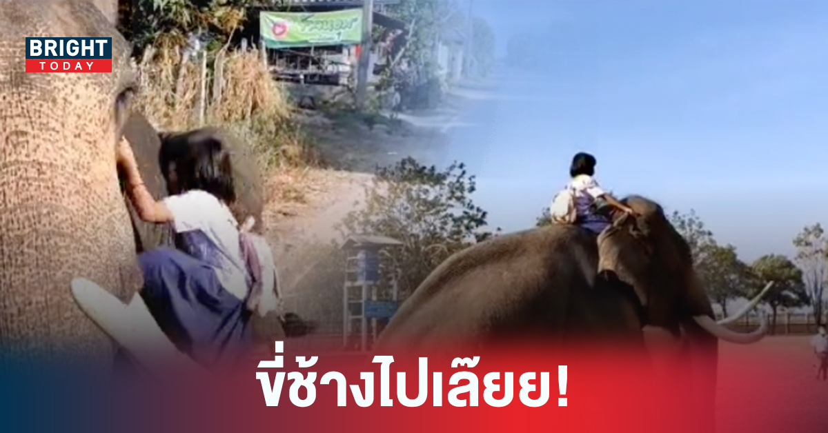 มีอยู่จริง! สร้างตำนานการเดินทางที่ยิ่งใหญ่กว่านั่งรถ เมื่อหนูน้อย ขี่ช้างไปโรงเรียน