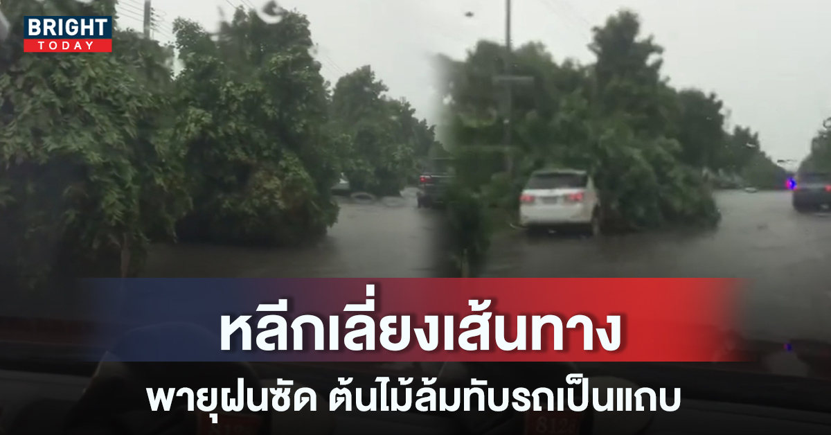 ฝนตกต้นไม้ล้มทับรถเป็นแถบ