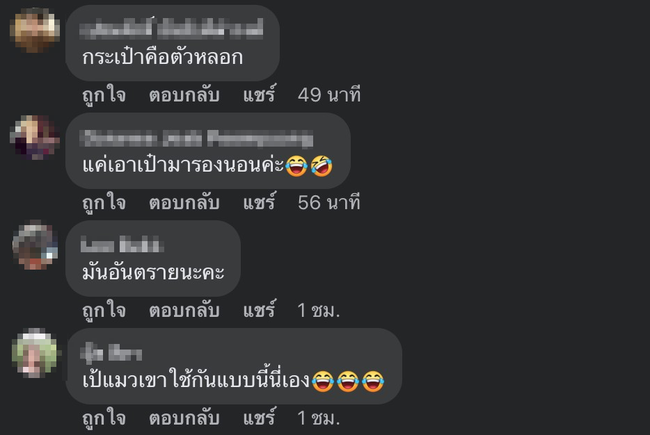 ทาสแมว-5