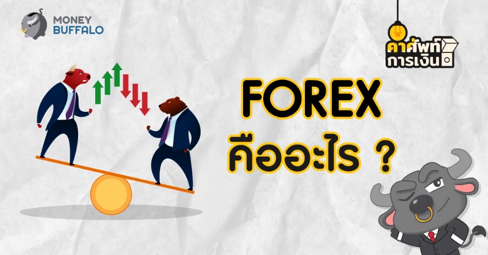 Forex