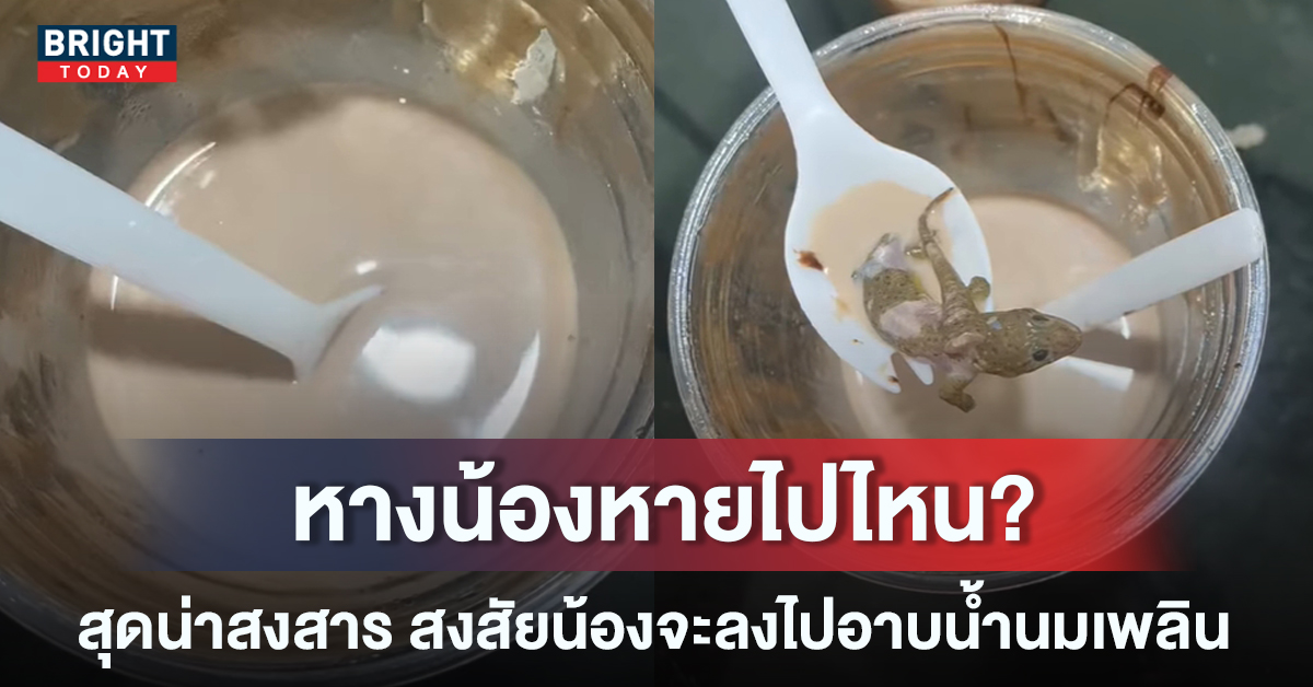 ชานมไข่มุก