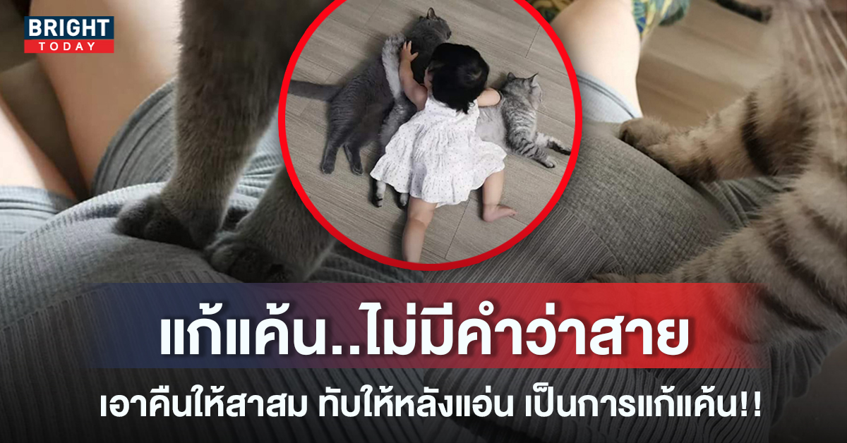 ทับหลังแอ่น! สาวน้อยขอเอาคืน หลัง เจ้าเหมียว ข่มขวัญไว้ตั้งแต่อยู่ในท้องแม่