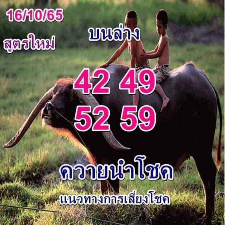 ควายนำโชค