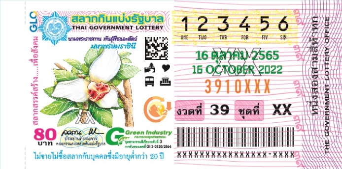 แปลปกสลาก