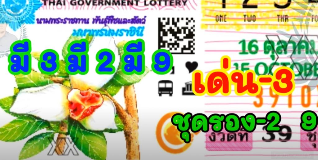 แปลปกสลาก2