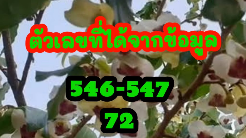 แปลปกสลาก5