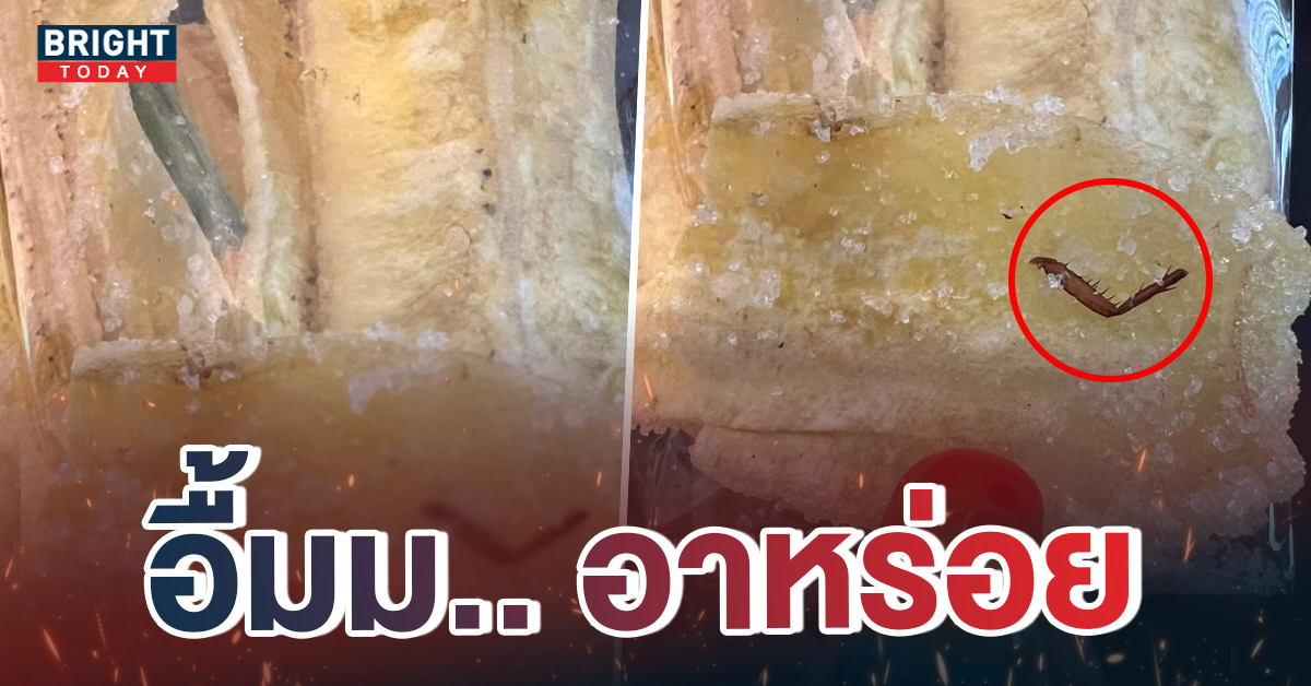 หน้าปกใหม่อีกครั้ง-ของแถมในกล้วยแาบ