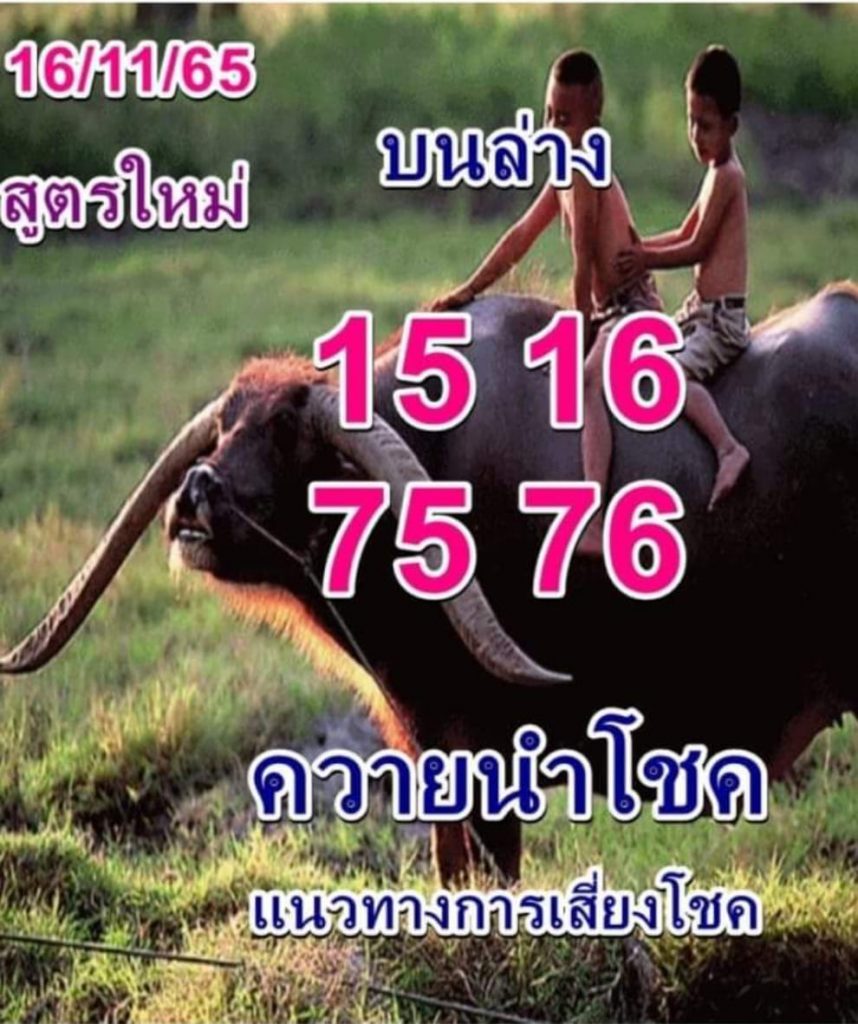 เลขเด็ด-หวยควายนำโชค-16-11-65