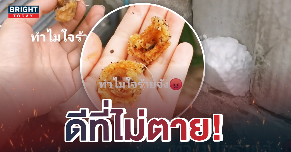 กะเอาตาย! เพื่อนบ้านใจดำ แอบเอาอาหารให้หมา แต่ดันเคลือบยาพิษ