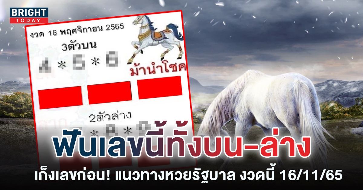 เลขเด็ด หวยม้านำโชค หวยรัฐบาลงวดนี้ 16 11 65 คอหวยวิเคราะห์ซื้อลอตเตอรี่