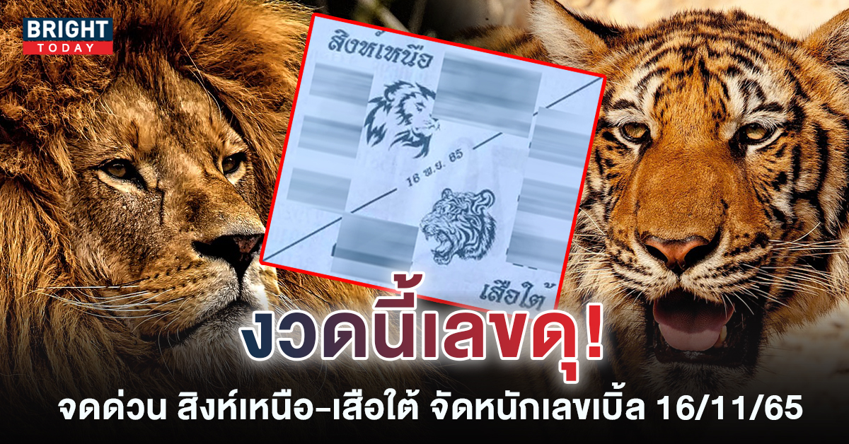 หวยสิงห์เหนือเสือใต้ 16 11 65 กอดคอแจกเลขเบิ้ลรัวๆ คอหวยห้ามพลาด