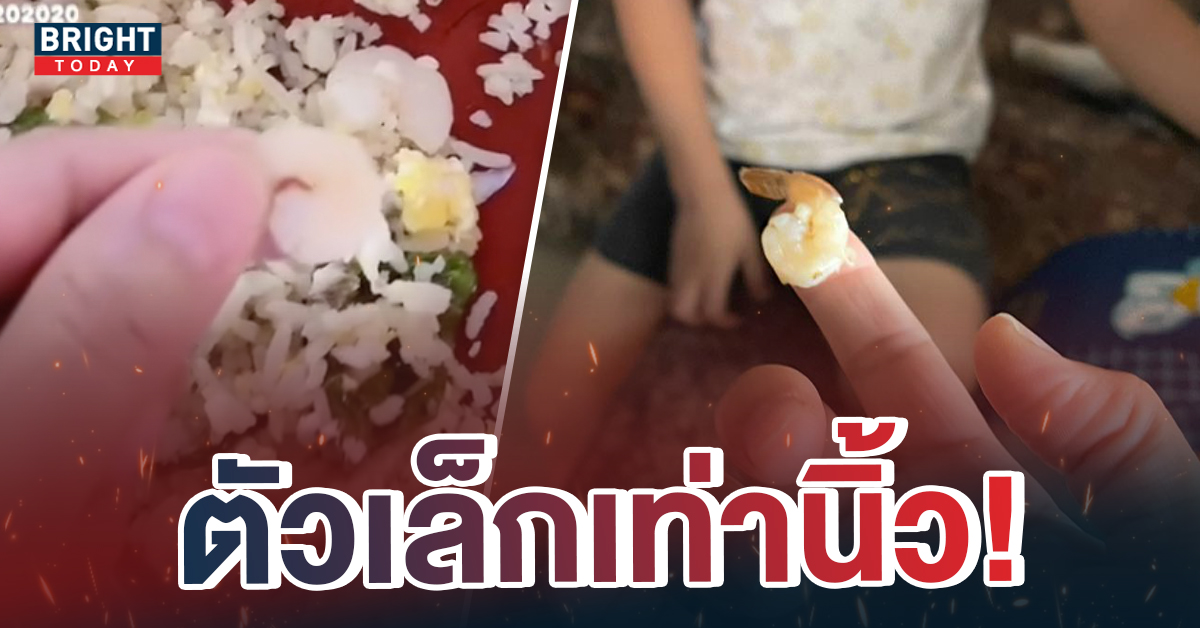 ข้าวผัดกุ้ง-1