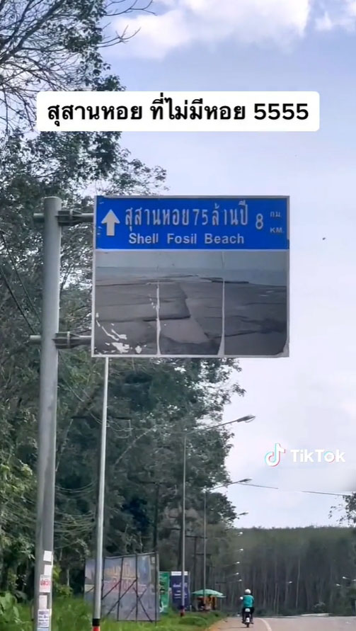 สุสานหอยไม่มีหอย-2