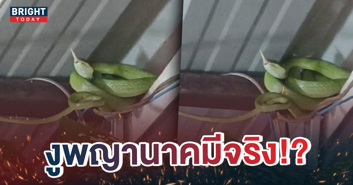 หน้าปกใหม่-งูพญานาค