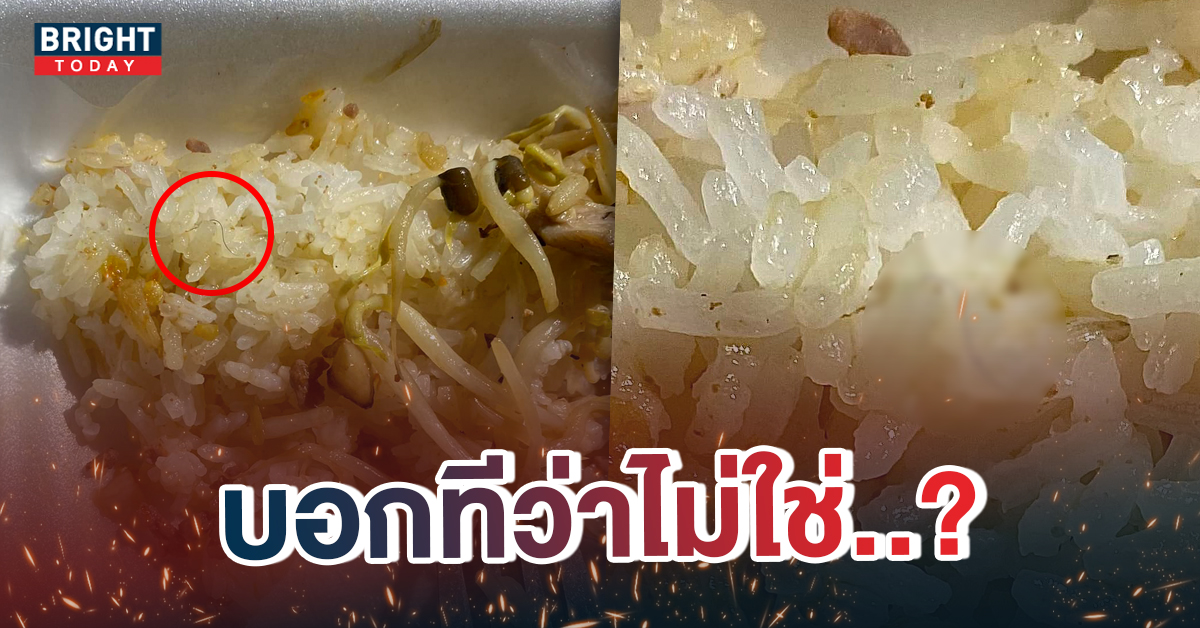 หน้าปกใหม่-เส้นขนในกล่องข้าว