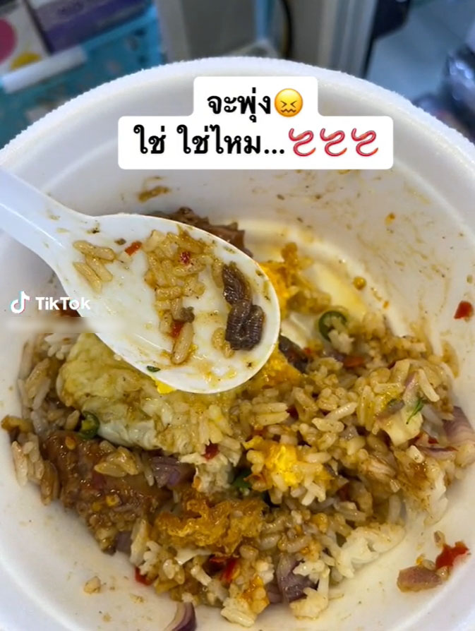 กะเพราเครื่องในไก่-3