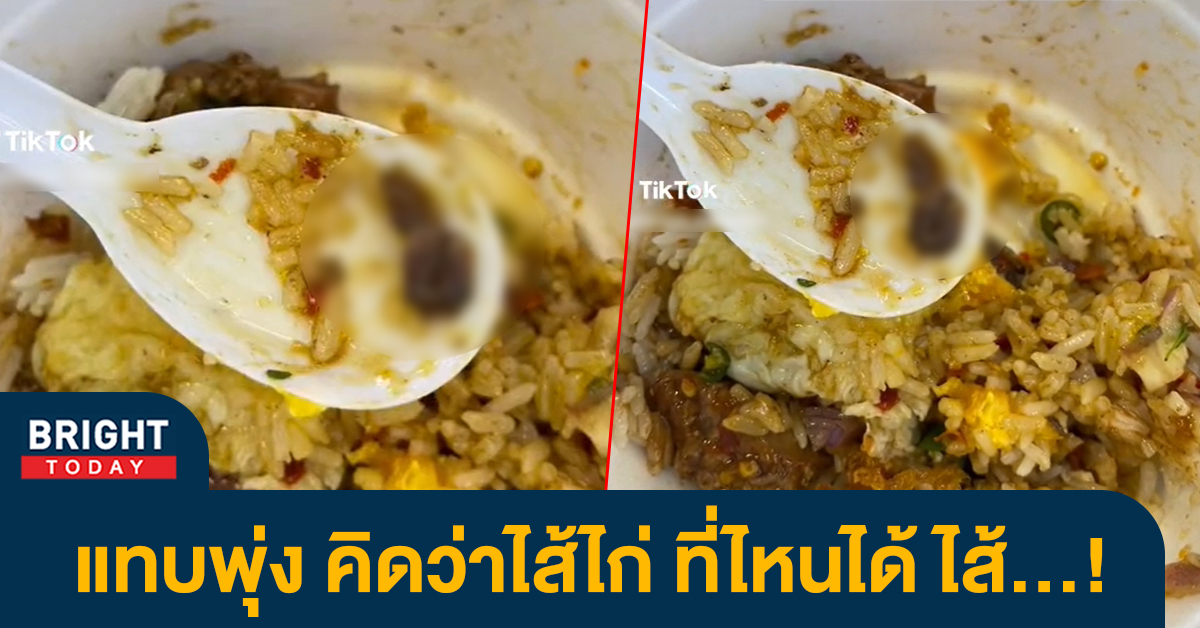 กะเพราเครื่องในไก่