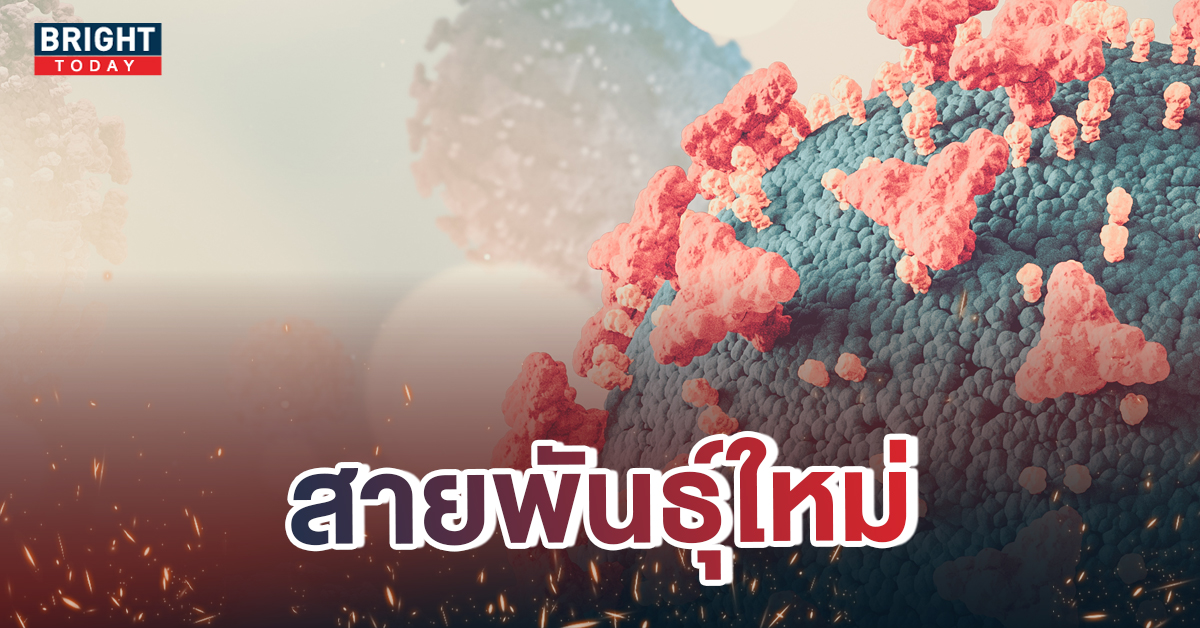 หน้าปกใหม่-โควิด-XWY