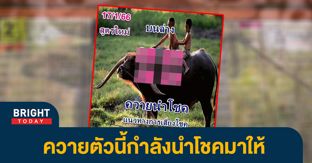 หวยงวดนี้-17-1-66-เลขเด็ด-ควายนำโชค-1