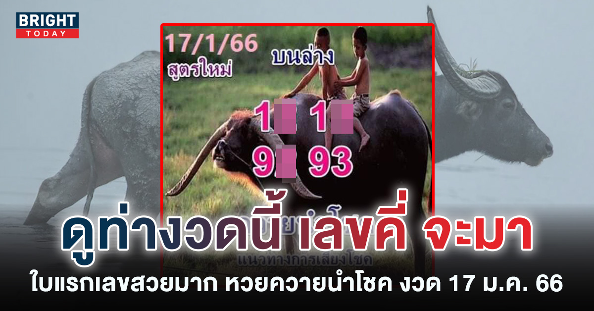 หวยรัฐบาล-เลขเด็ด-ควายนำโชค-17-1-66-1