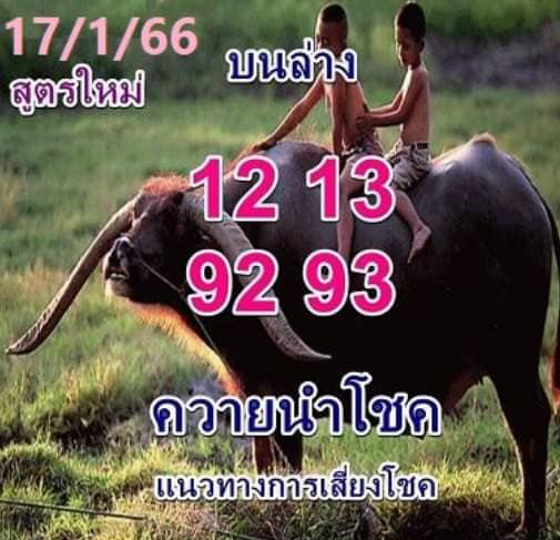 หวยรัฐบาล-เลขเด็ด-ควายนำโชค-17-1-66